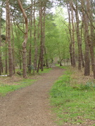 21st May 2021 - Another lovely walk trail.