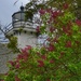 Lighthouse through the lilacs by amyk