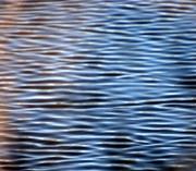13th May 2021 - Ripples in the Pond