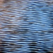 Ripples in the Pond