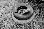 21st May 2021 - Tyres & Plank