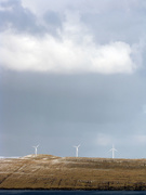 19th Feb 2010 - Windmills