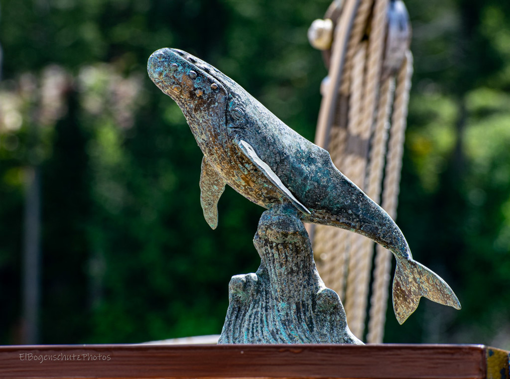 Blue Whale Sculpture by theredcamera