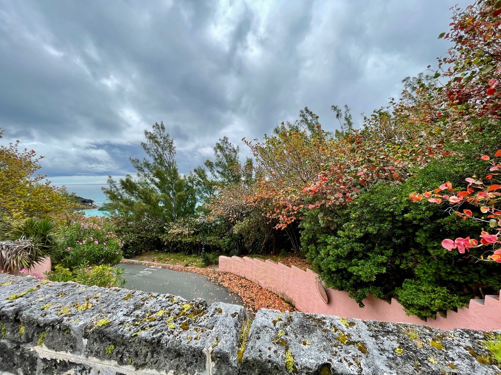 Colourful scene whilst walking by lisasavill