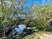 19th May 2021 - A little boat parking spot