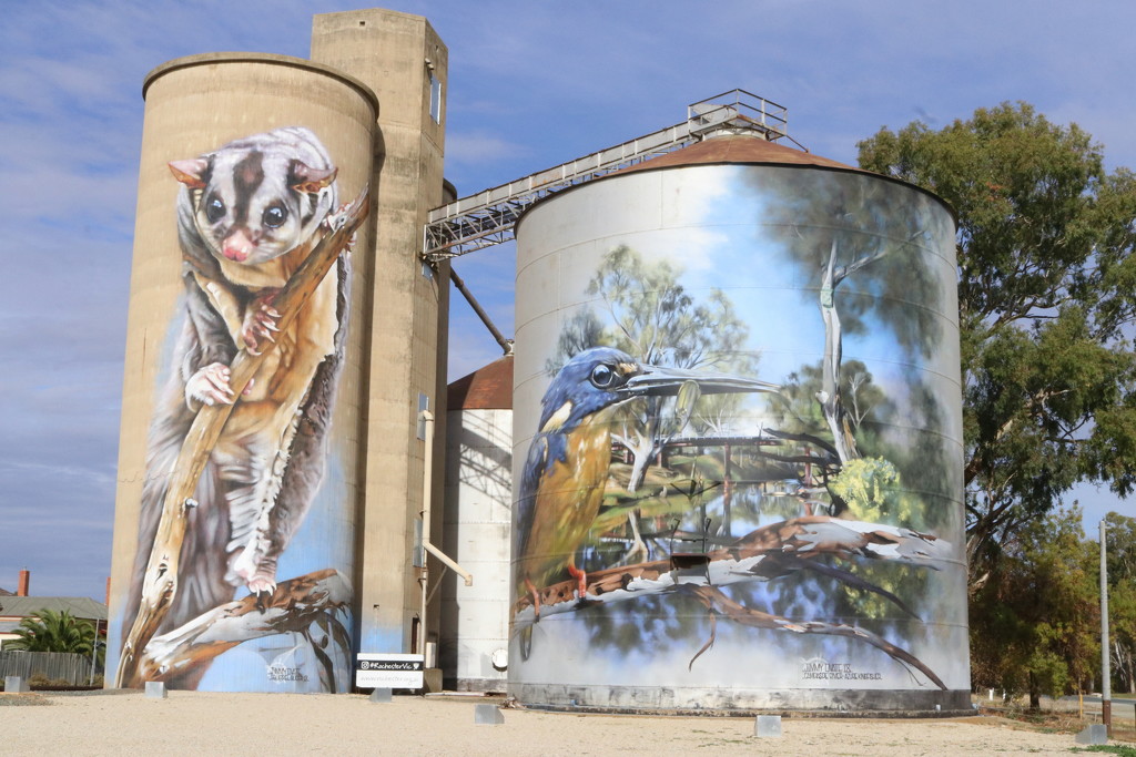 Rochester silo art by gilbertwood