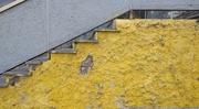 16th May 2021 - Yellow Stairs.