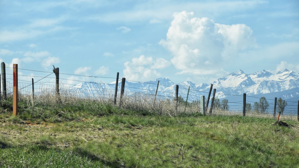 A cattle ranch in the Rockies  by louannwarren