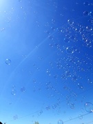 21st May 2021 - Bubbles and Blue Sky