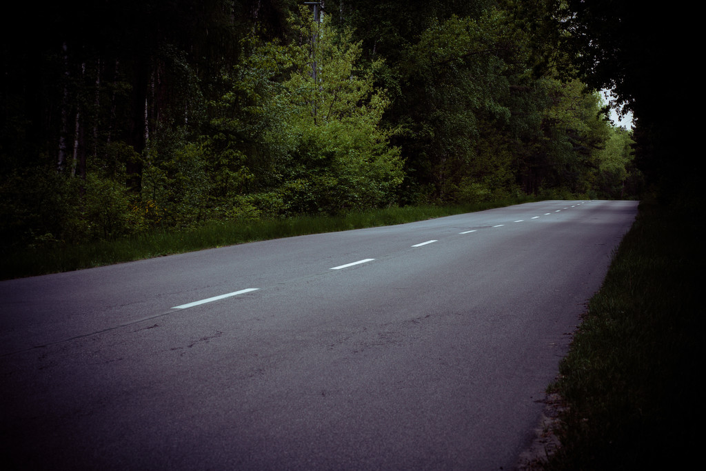 a road by j_kamil