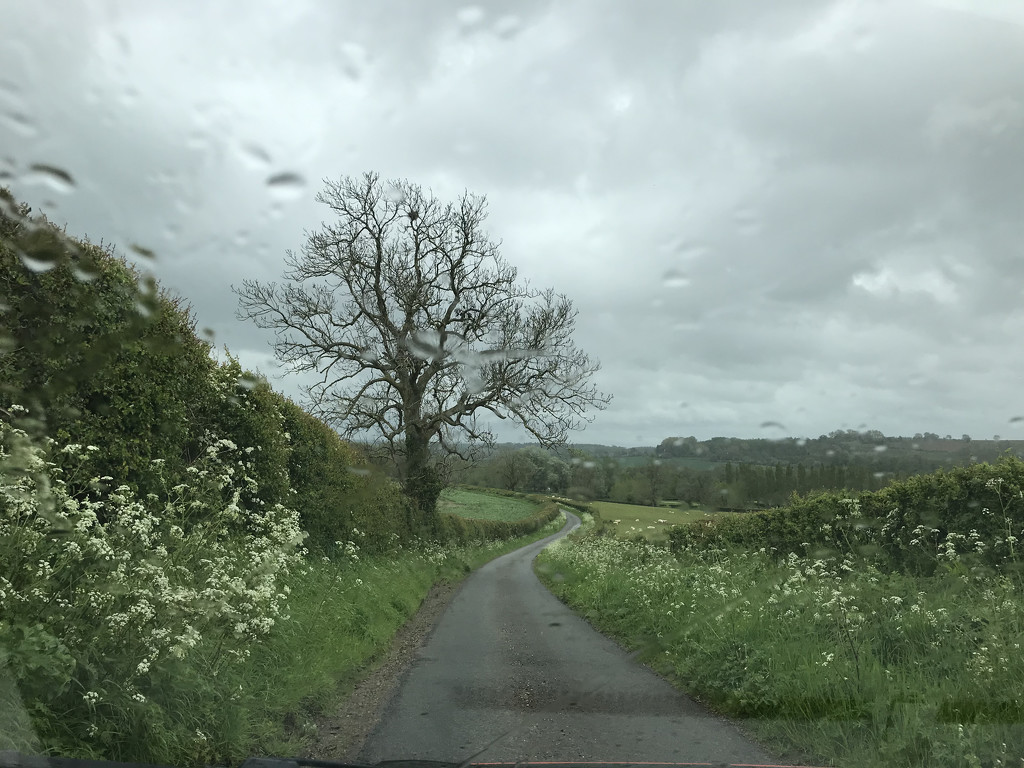 Rainy Day in the Cotswolds by daffodill