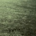 Jewelled sea by peterdegraaff