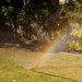 Rainbow from sprinkler by acolyte