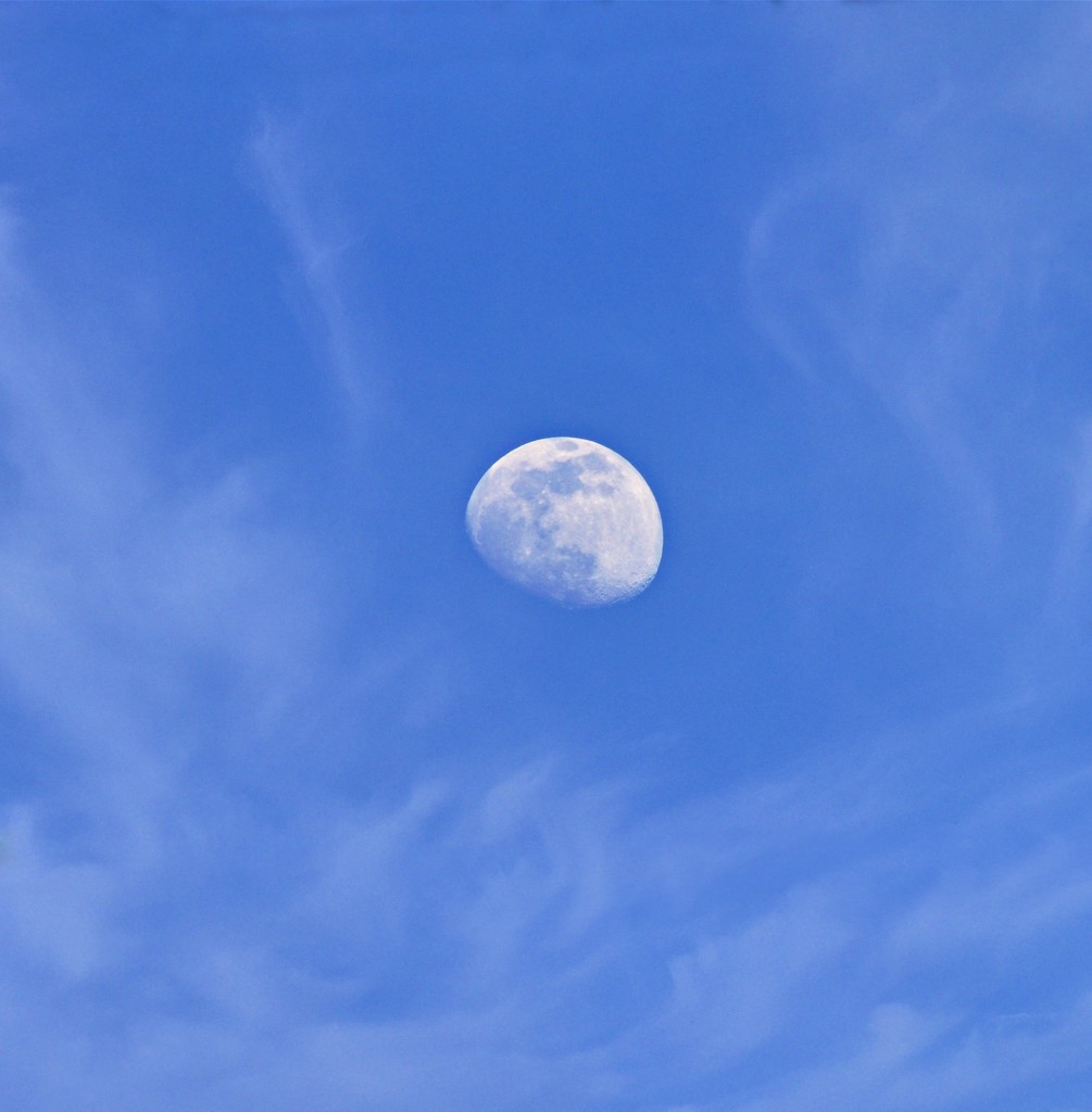 Daylight Moon by peggysirk