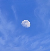 22nd May 2021 - Daylight Moon