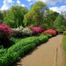 Isabella Plantation - Richmond Park by 365nick