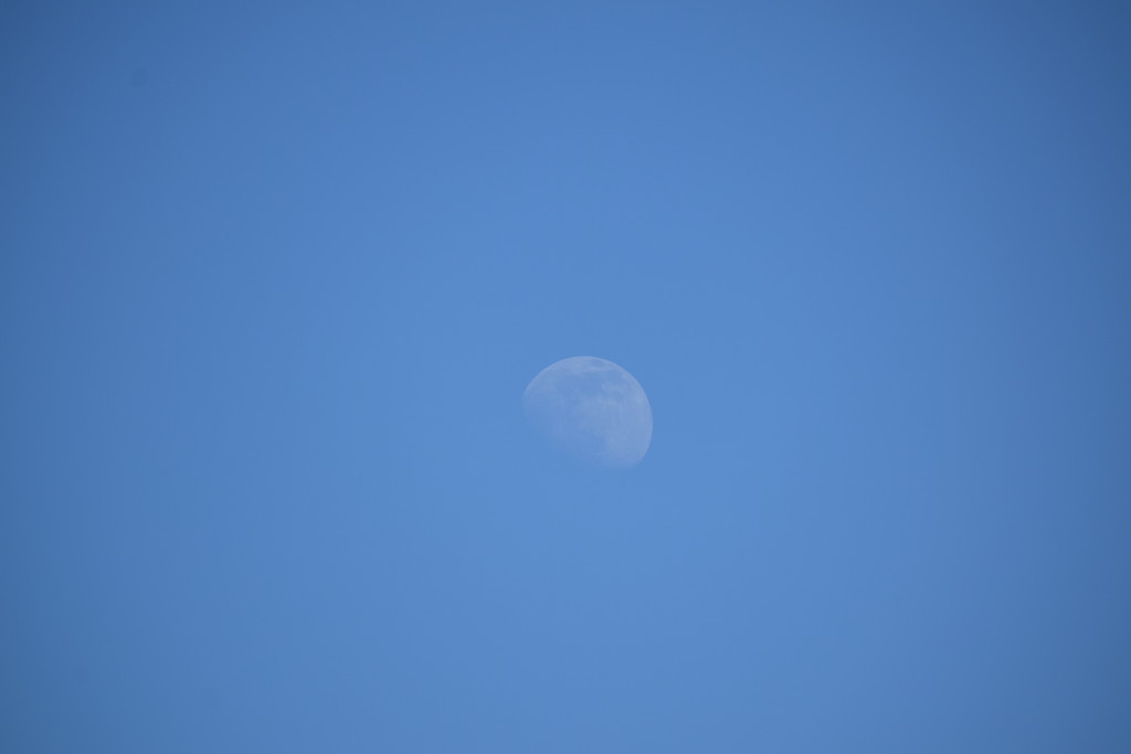 2021-05-22 Blue Moon by cityhillsandsea