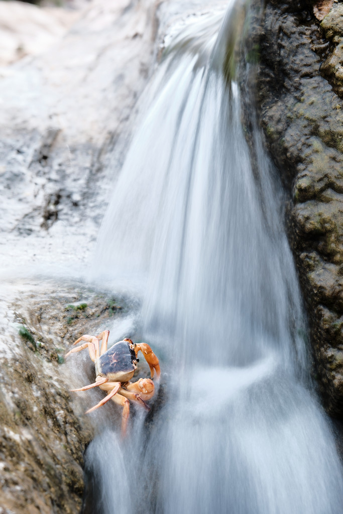 Shower time by stefanotrezzi