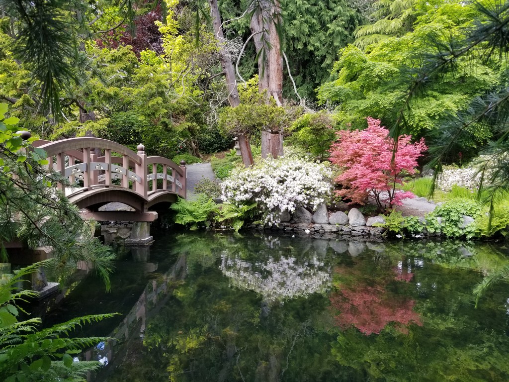 Japanese Garden by kimmer50