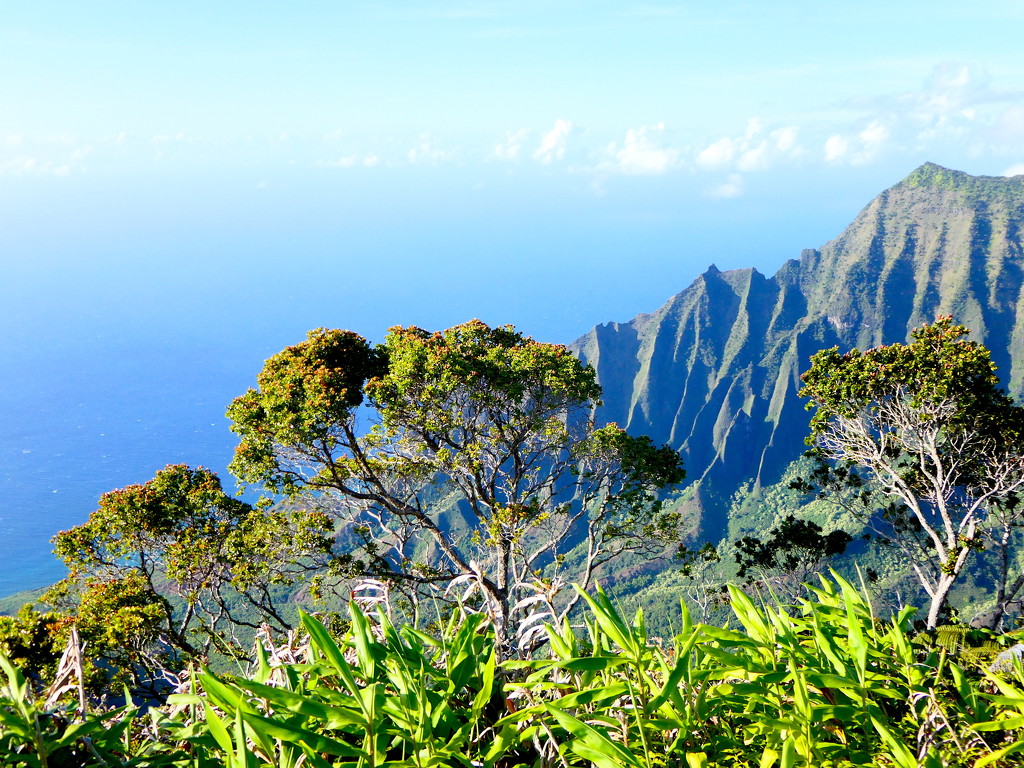 Na Pali Overlook by redy4et