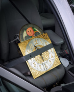 22nd May 2021 - "Time" for a Seat Belt