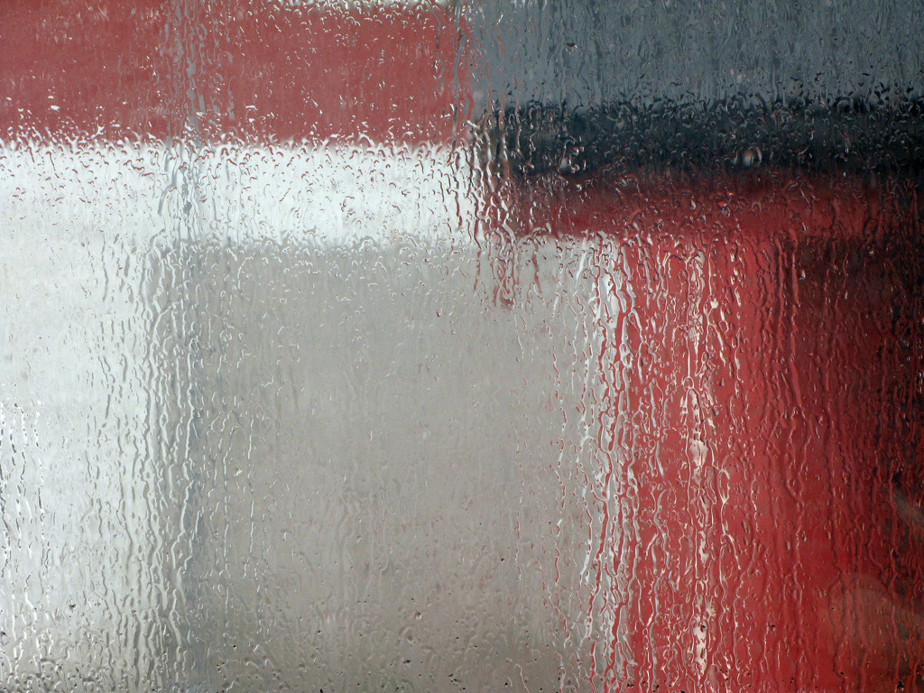 Through a rainy window by okvalle