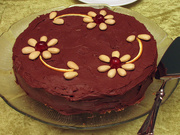 27th Mar 2010 - I made a cake today