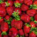 Strawberry Delight by cwbill