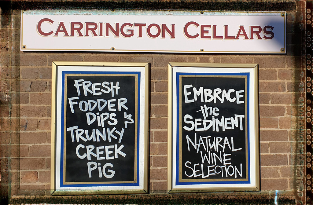 Half and Half 24 - Carrington Cellars by annied