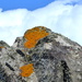 Mount lichen by steveandkerry
