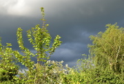 25th May 2021 - A mean and moody sky -