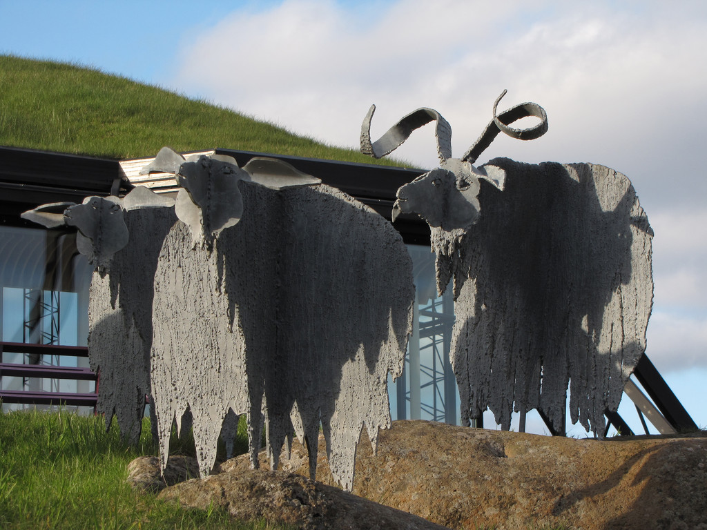 Is this where they get Wire Wool?  Metal sheep outside the Nordic House by okvalle