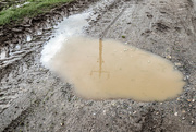 21st May 2021 - Muddy puddle......