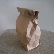 25th May 2021 - Brown Bag It Day