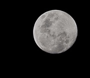 26th May 2021 - Last nights moon , hoping for a clear night tonight for the blood moon