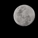 Last nights moon , hoping for a clear night tonight for the blood moon by Dawn