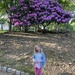 “Mommy, take my picture next to the pretty tree” by mdoelger