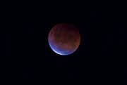 26th May 2021 - Blood Moon