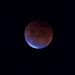 Blood Moon by dkbarnett