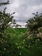 26th May 2021 - Countryside