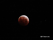 26th May 2021 - Super Blood Moon and Lunar Eclipse