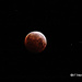 Super Blood Moon and Lunar Eclipse by soylentgreenpics