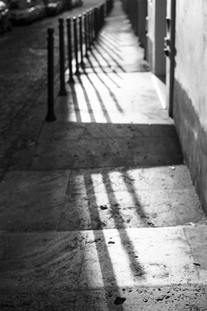 Shadow #2  by domenicododaro