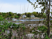 25th May 2021 - Another if Cape Porpoise