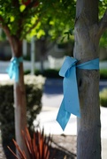25th May 2021 - Awareness ribbons