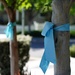 Awareness ribbons by acolyte