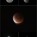 Lunar eclipse by gilbertwood
