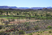 25th May 2021 - The Finke River in all its Greenery