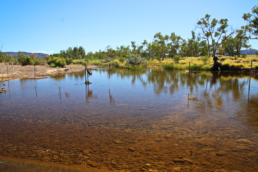 Finke River Crossing - Other Side by terryliv