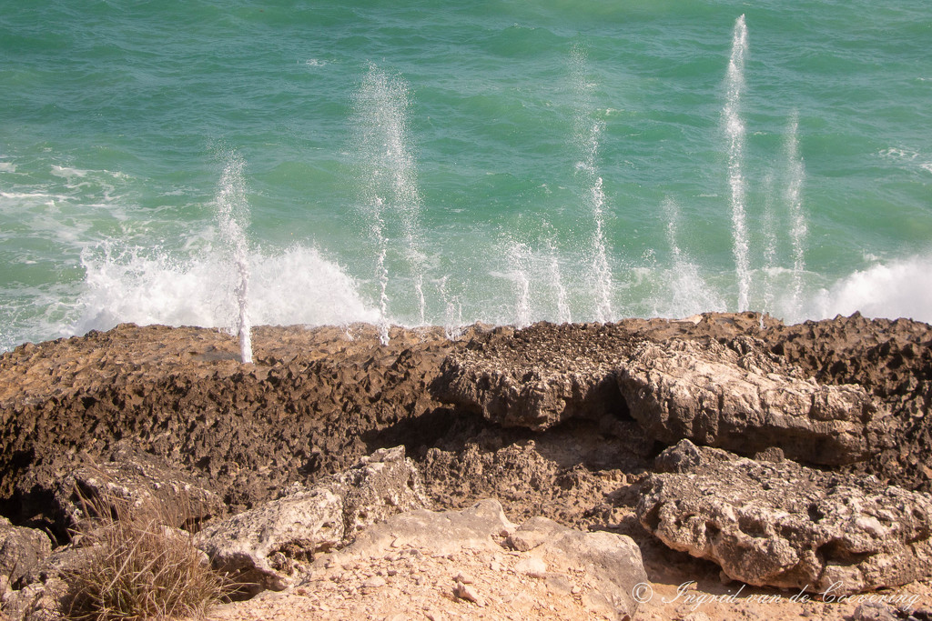Blowholes and sea by ingrid01